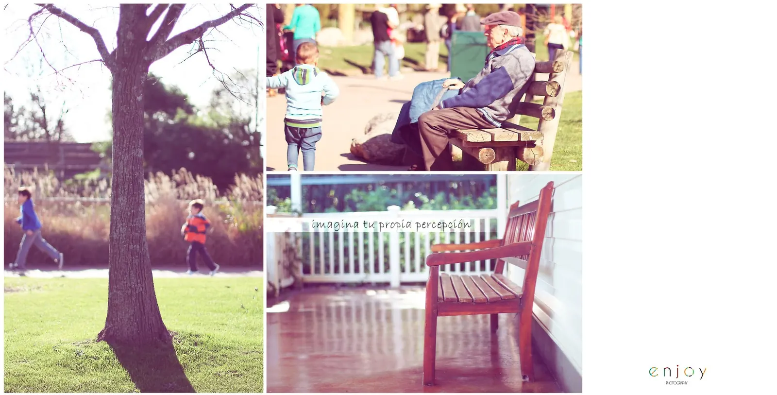Lámina «Imagina tu propia percepción»: escenas de plaza, un árbol, un abuelo en un banco y un banco vacío